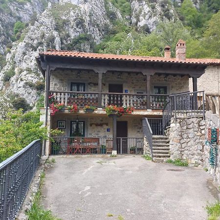 El Portal Del Abuelo Apartamento Arenas De Cabrales Exterior foto