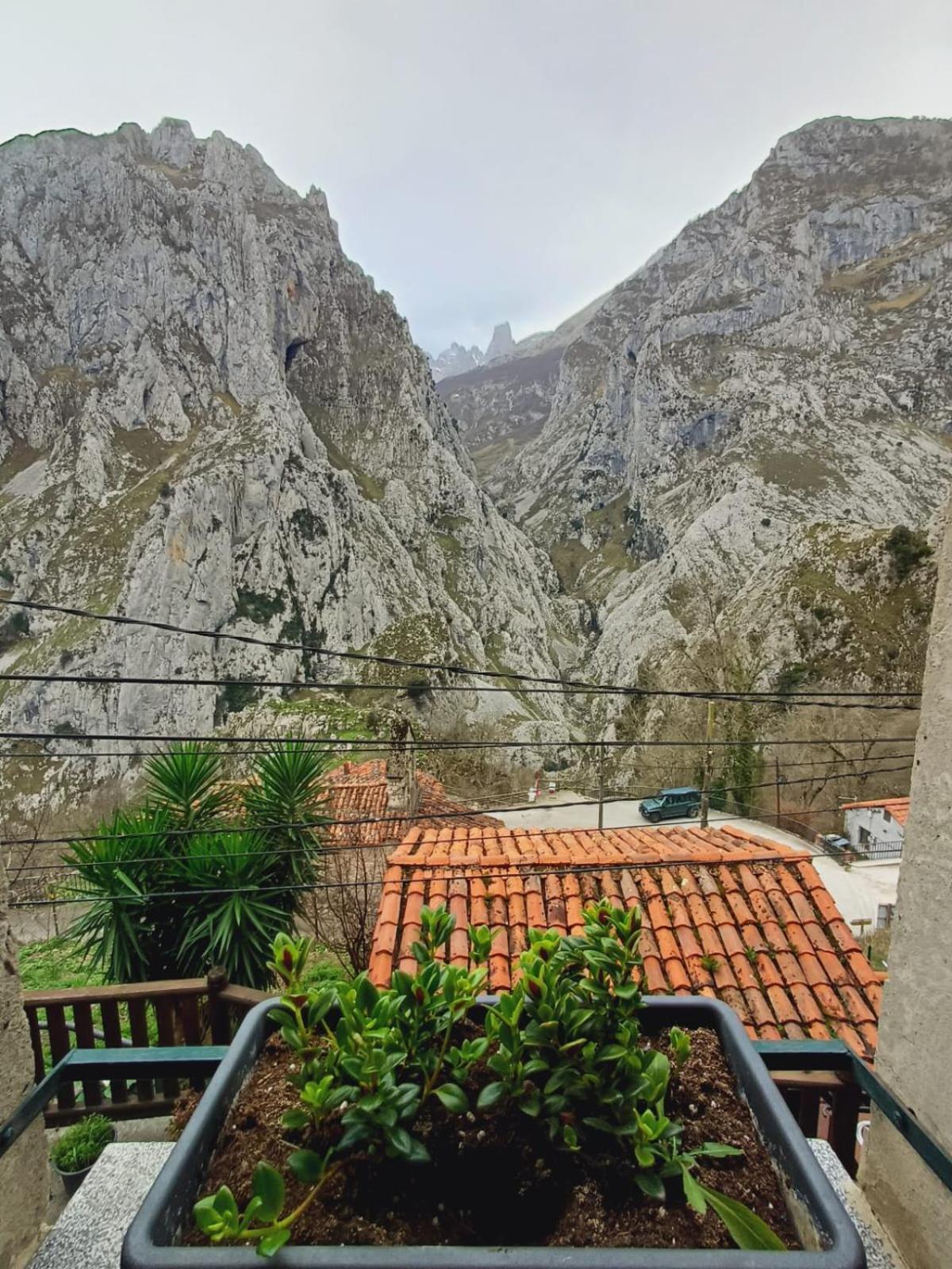 El Portal Del Abuelo Apartamento Arenas De Cabrales Exterior foto
