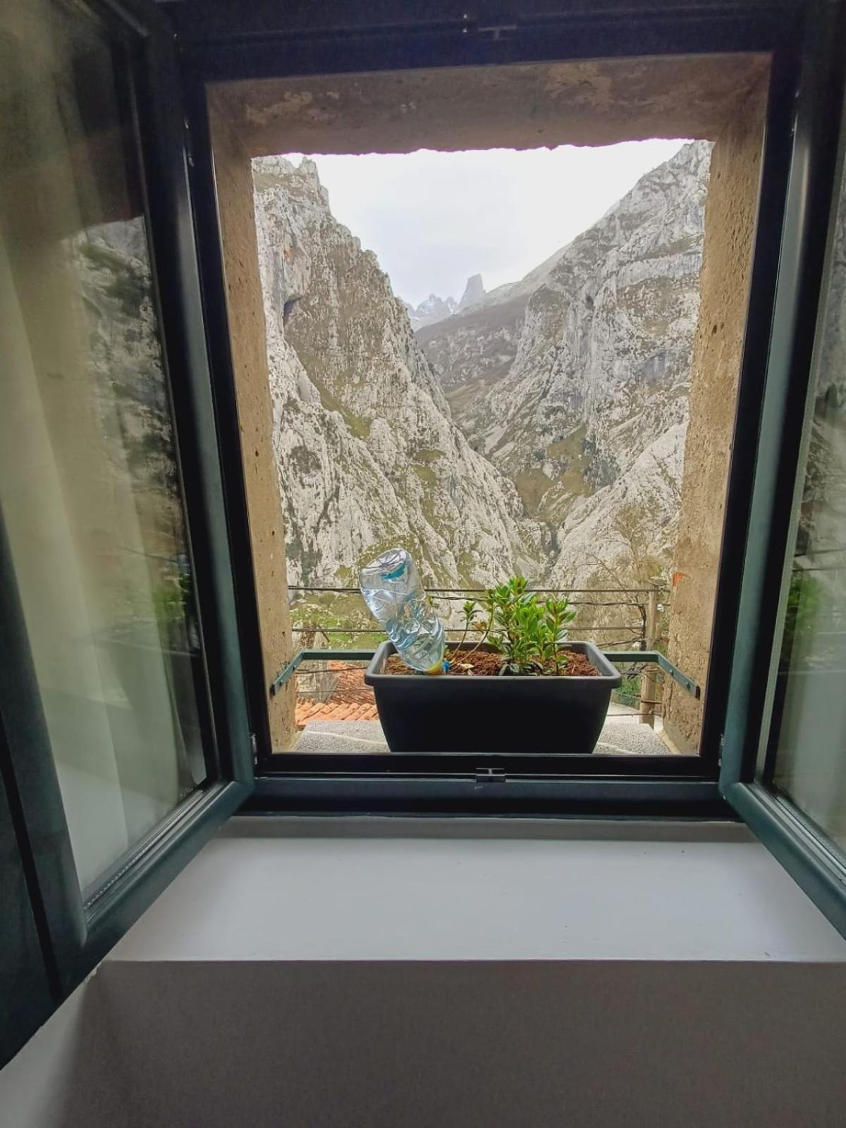 El Portal Del Abuelo Apartamento Arenas De Cabrales Exterior foto